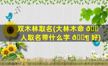 双木林取名(大林木命 🐴 人取名带什么字 🐶 好)